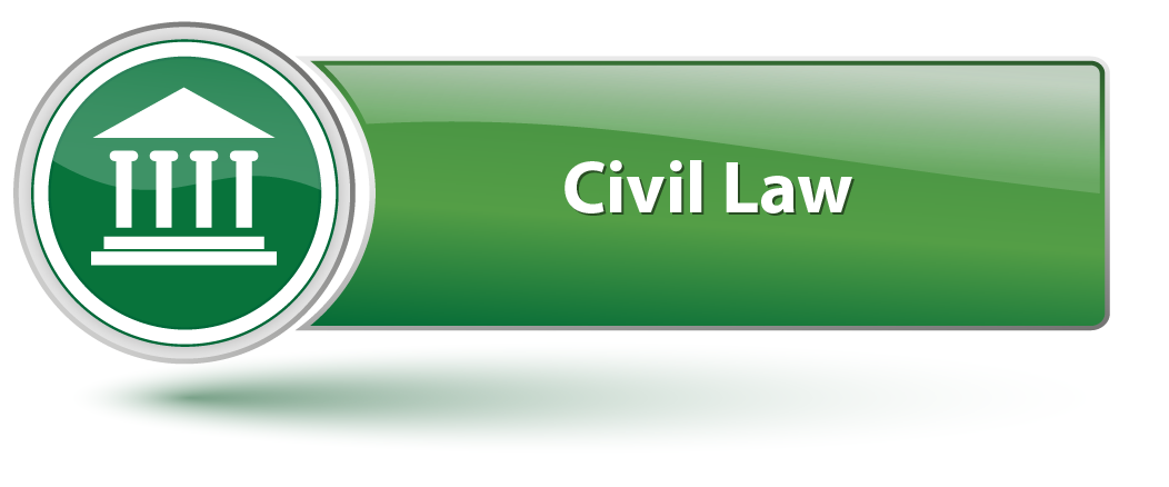 Civil Law Domain