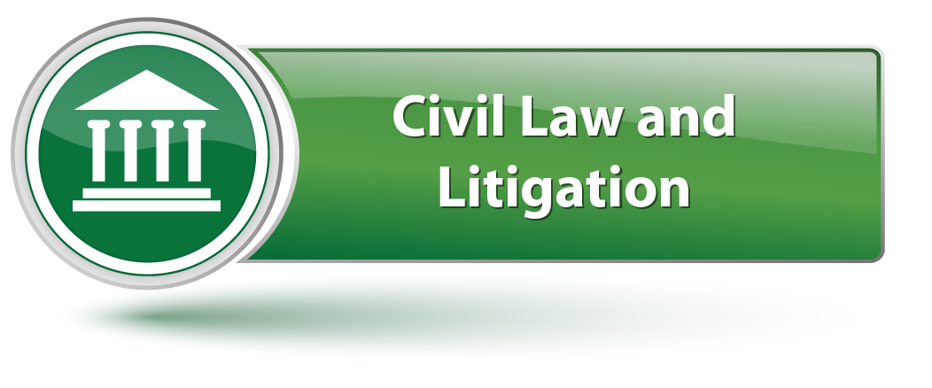 Civil Law & Litigation Domain