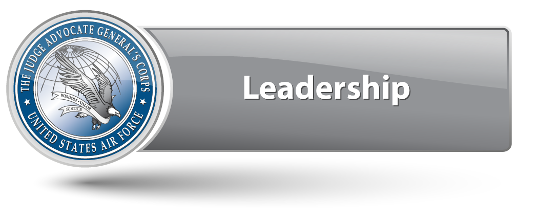 Leadership domain